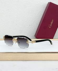 Picture of Cartier Sunglasses _SKUfw77796335fw